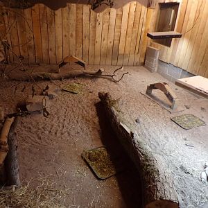 Leopard and sulcata tortoise enclosure  14.10.23
