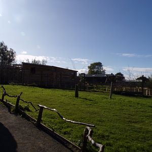 Bennett’s and parma wallaby walkthrough enclosure 14.10.23