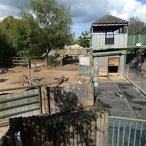 Lowland tapir and capybara enclosure