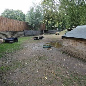 Capybara enclosure