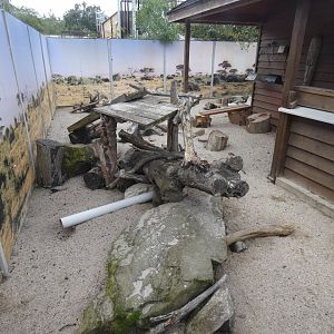 Meerkat enclosure