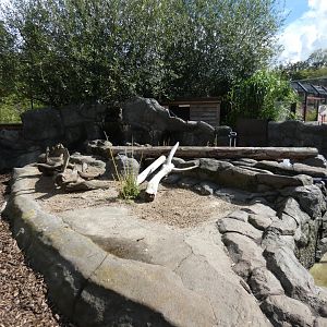 Asian short-clawed otter enclosure