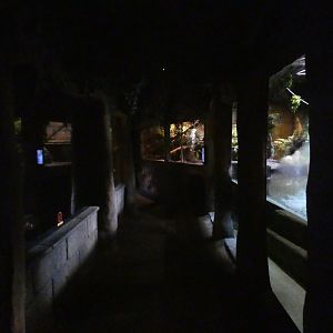 View inside 'Amazon and Beyond' anaconda house