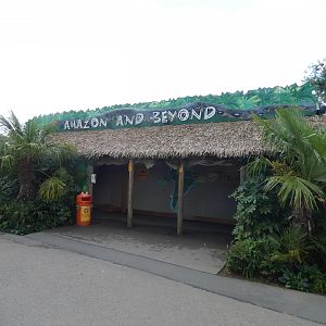 'Amazon and Beyond' house