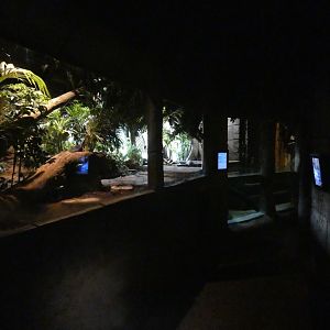 View inside 'Amazon and Beyond'