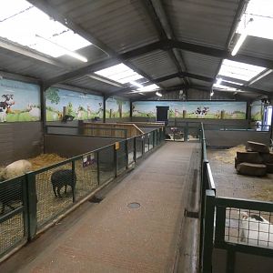 Farmyard area