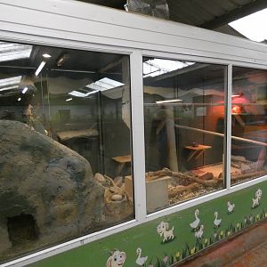 Chinchilla and ferret enclosures