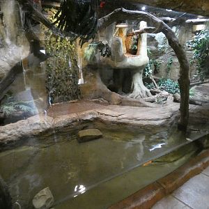 Reticulated python enclosure