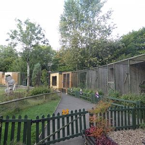 View of bird aviaries