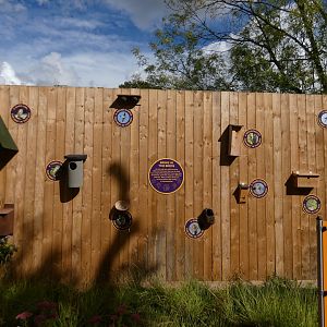 Wall of bird boxes