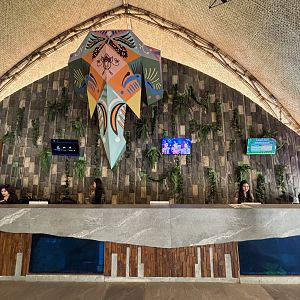 Entrance Desk - Solo Safari