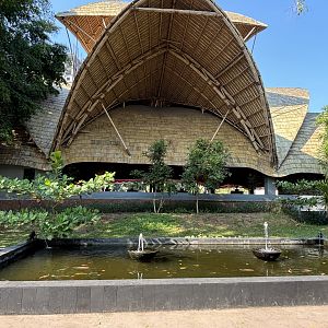 Zoo Entrance (from inside zoo) - Solo Safari