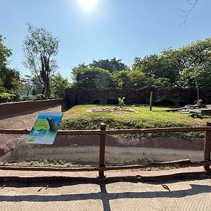 Komodo Dragon Exhibit - Solo Safari