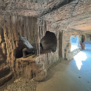 Komodo Dragon Cave - Solo Safari