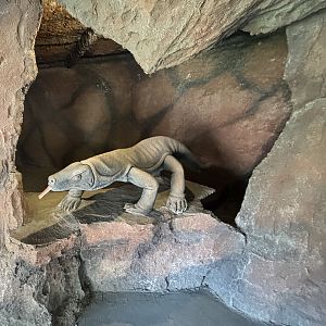 Komodo Dragon Cave - Solo Safari