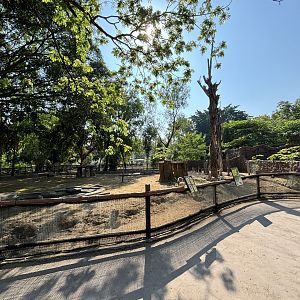 Agile Wallaby Exhibit - Solo Safari