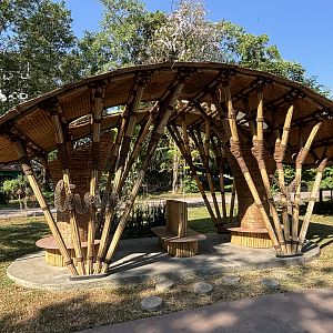 Seating Area - Solo Safari