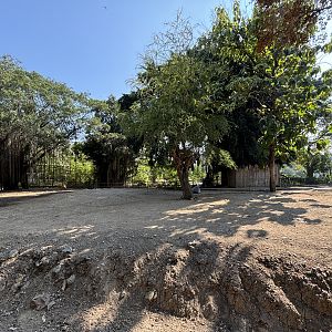 Asian Hoofstock Exhibit (7 species) - Solo Safari