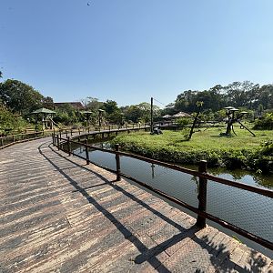 Primate Islands Boardwalk - Solo Safari