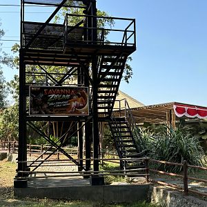 African Savanna Zipline - Solo Safari