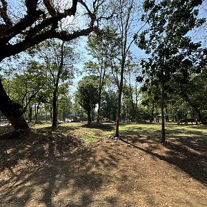 African Savanna (7 species) - Solo Safari