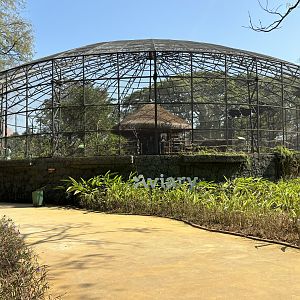 Walk-through Aviary - Solo Safari