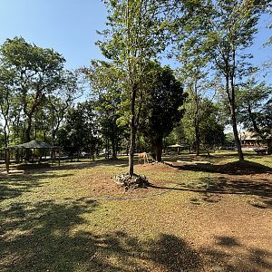 African Savanna (7 species) - Solo Safari