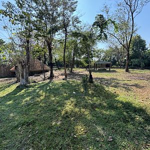 African Savanna (7 species) - Solo Safari