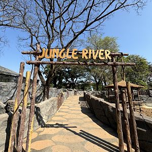 Jungle River Complex (4 species) - Solo Safari