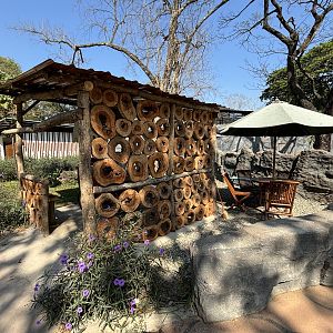 Seating Area - Solo Safari