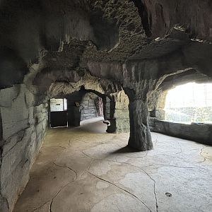 Walk-through Aviary - Solo Safari