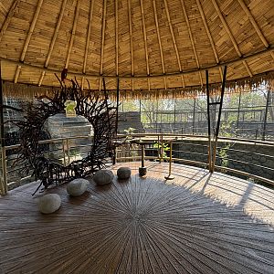 Walk-through Aviary - Solo Safari