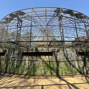 Walk-through Aviary - Solo Safari