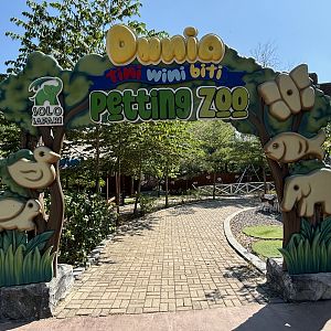 Petting Zoo - Solo Safari