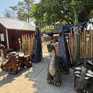 Petting Zoo - Solo Safari