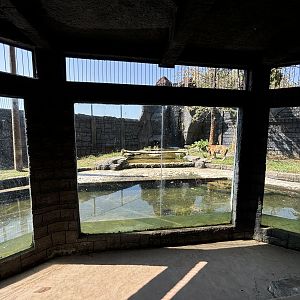 Tiger Exhibit - Solo Safari