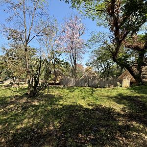 Sitatunga Exhibit - Solo Safari