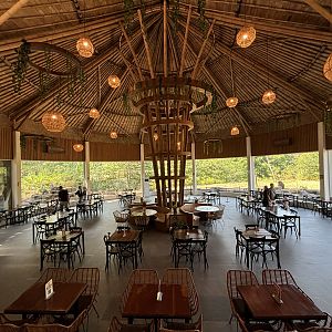 Zoo Restaurant - Solo Safari
