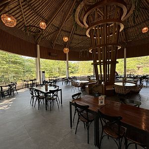 Zoo Restaurant - Solo Safari
