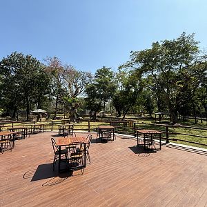 African Savanna (7 species) - Solo Safari