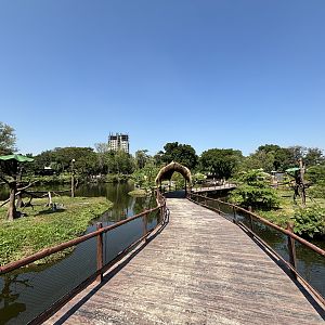 Primate Islands - Solo Safari