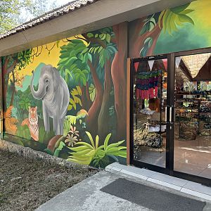 Gift Shop - Solo Safari