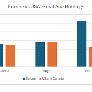 Great Ape Holdings by Continent