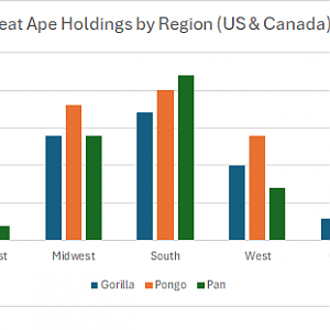 Great Ape Holdings by Region (US & Canada)
