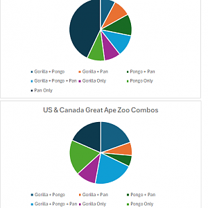 Great Ape Zoo Combos by Continent 2
