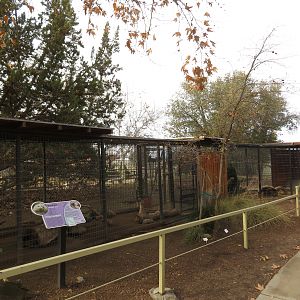 Badger Exhibit