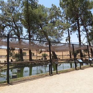 Waterfowl Aviary (Reopened)