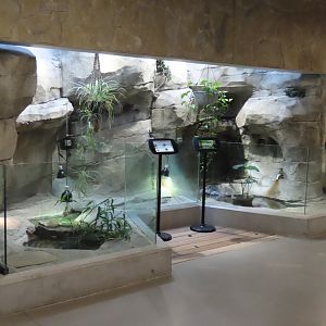 Turtle Exhibits