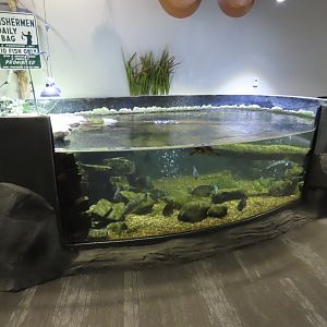 Pond Tank