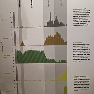 Pollen record over human settlement in NZ